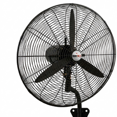 Collection image for: Fans